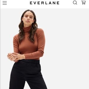 Everlane Ribbed Turtleneck Longsleeve Bodysuit